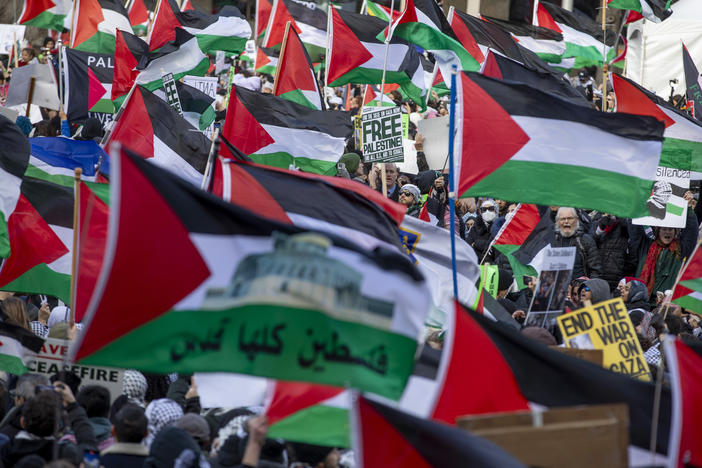 At the March on Washington for Gaza, thousands of demonstrators rallied in support of a cease-fire in Gaza and an end for U.S. aid for Israel.