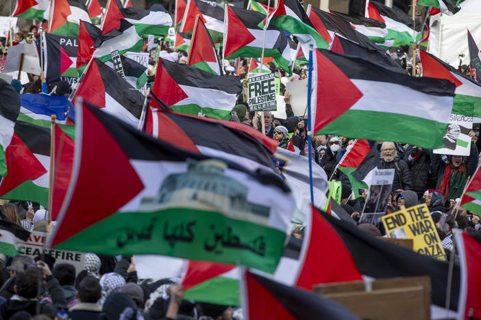 At the March on Washington for Gaza, thousands of demonstrators rallied in support of a cease-fire in Gaza and an end for U.S. aid for Israel.