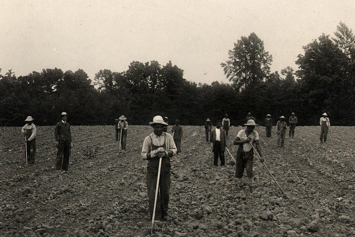 Crownsville patients work in the hospital's fields in the 1910s.