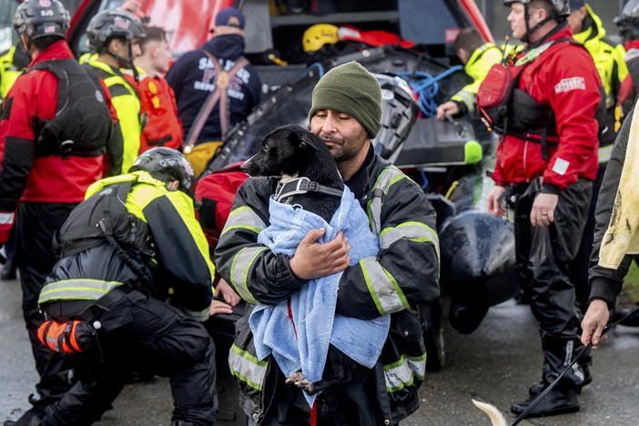 A man, who declined to give his name, carries a dog after being rescued from a homeless encampment surrounded by Guadalupe River floodwater on Sunday, Feb. 4, 2024, in San Jose, Calif.