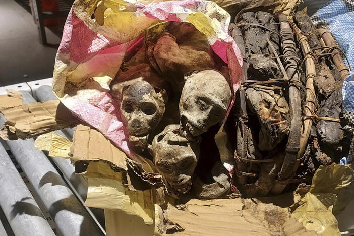 The traveler caught with the mummified monkey remains initially said the items were dried fish.