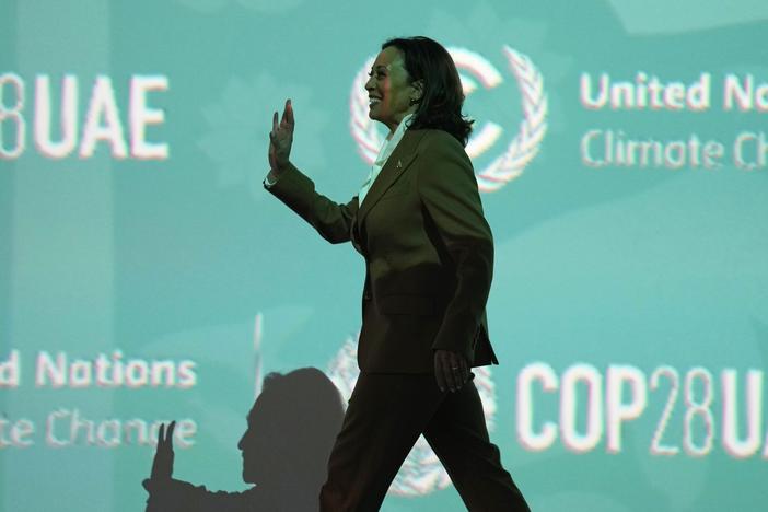 Vice President Harris, seen here in December 2023, will be making a major address on Friday at the Munich Security Conference.