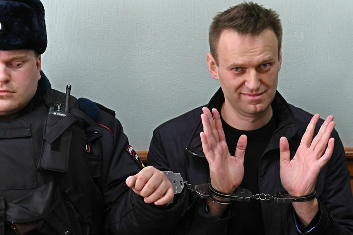 Alexei Navalny rose to fame in Russia with headline-grabbing investigations into corruption in the highest levels of President Vladimir Putin's regime. Navalny (right) is seen here at a court hearing in Moscow in March 2017.