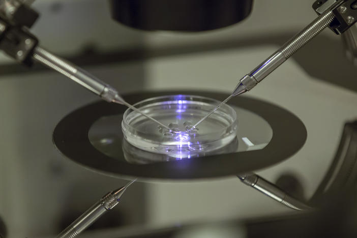 The decision stems from a case brought by three couples that had pursued in vitro fertilization treatment.