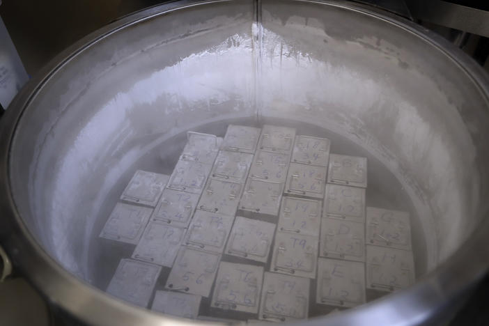 Frozen embryos and sperm are stored in liquid nitrogen at a fertility clinic in Florida. The Alabama Supreme Court ruling stems from wrongful death cases brought by three couples who had frozen embryos destroyed in an accident at a fertility clinic in the state.