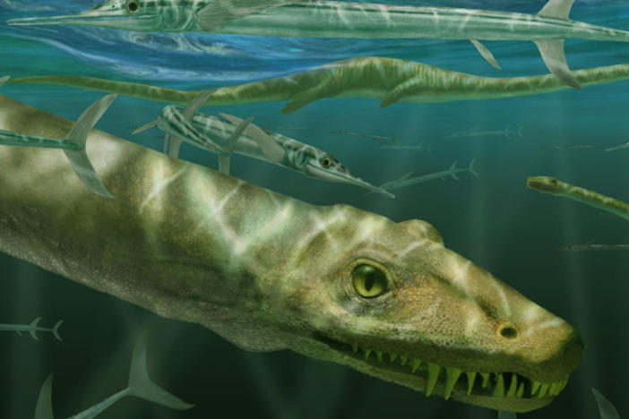<em>Dinocephalosaurus orientalis</em> swimming alongside prehistoric fish known as Saurichthys.