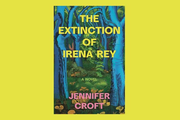 Cover of The Extinction of Irena Rey