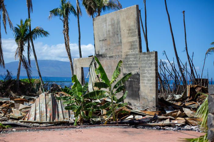 West Maui is a center of the tourism industry, raising concerns in the community that developers will buy properties destroyed in the fire as they come up for sale.
