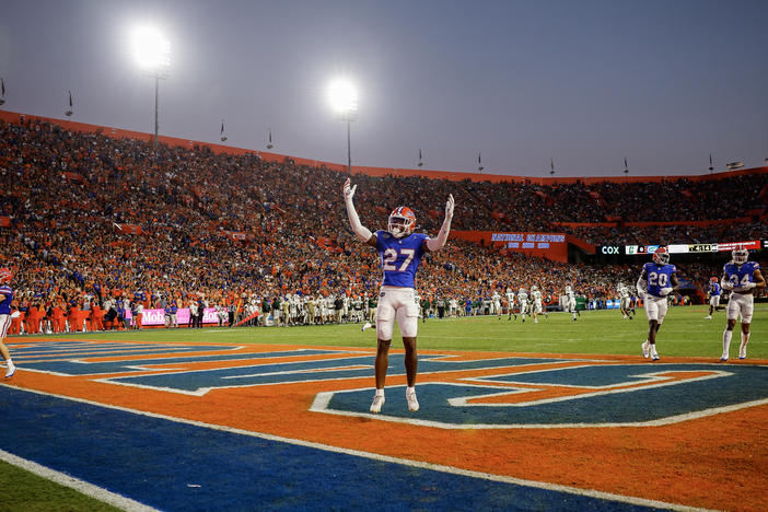A University of Florida football game last fall.