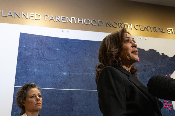 Vice President Harris speaks to reporters after her visit to a Planned Parenthood clinic in Saint Paul, Minn. on March 14.