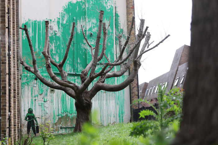 A new Banksy artwork near Finsbury Park in north London shows a stencil of a person having spray painted tree foliage onto a wall behind a leafless tree.