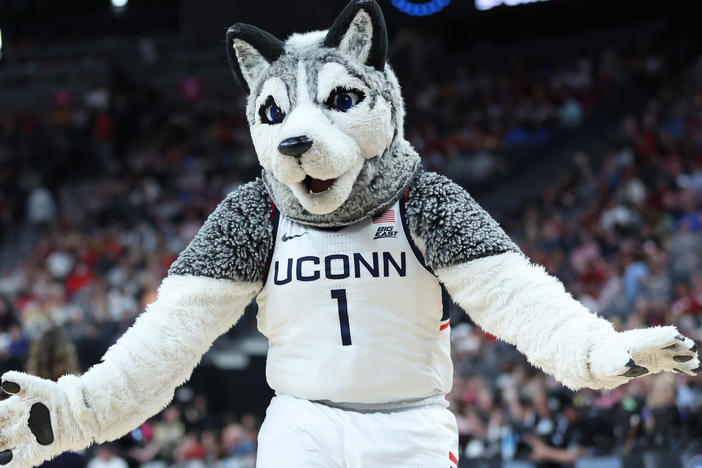 The UConn Huskies are the No. 1 seed and are favored to win this year's NCAA March Madness tournament. But is Jonathan the Husky the cutest mascot in the competition?