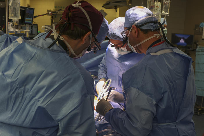 Surgeons perform the first transplant of a genetically modified pig kidney into a living human at Massachusetts General Hospital in Boston.