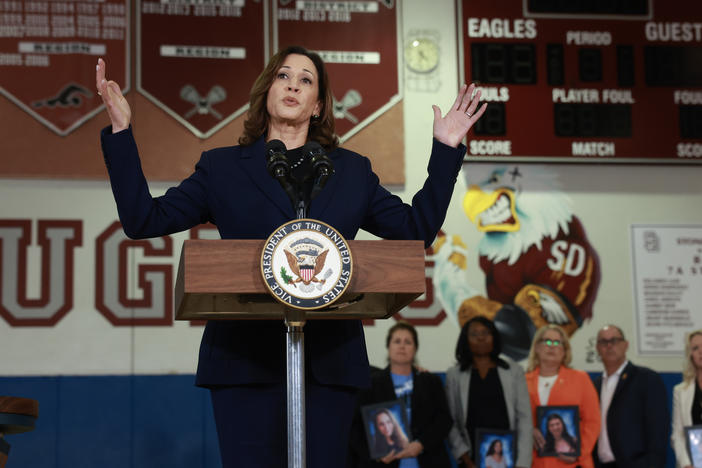 Vice President Kamala Harris on Saturday spoke at Marjory Stoneman Douglas High School in Parkland, Fla., about gun safety measures after meeting with families whose loved ones were killed during the 2018 shooting at the school.