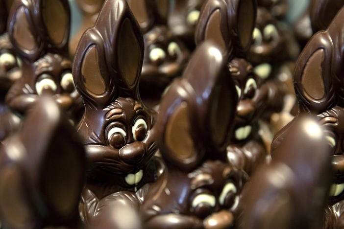 Chocolate Easter bunnies wait to be decorated at a shop in Belgium.