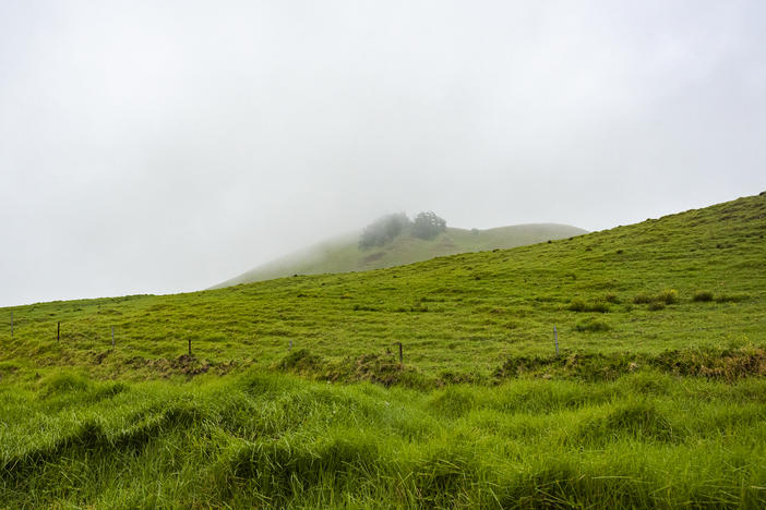 The rolling hills of Waimea, HI, on January 30, 2024. The rural town is situated between Mauna Kea and the Kohala Mountains.