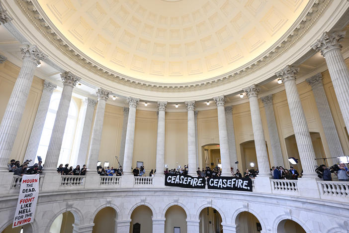 Political divisions among Democrats over the Israel-Hamas war are at the center of several upcoming primaries against liberal members who oppose the war.