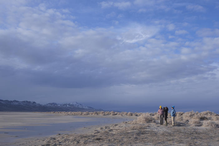 Scientists Carly Biedul, Coordinator at The Great Salt Lake Institute, Bonnie Baxter, Director at The Great Salt Lake Institute, and Heidi Hoven, Senior Manager at the Gillmor Sanctuary and Audubon Rockies, showed us around a bird sanctuary where many species of birds and insects the the birds feed on are affected by the recession of The Great Salt Lake.