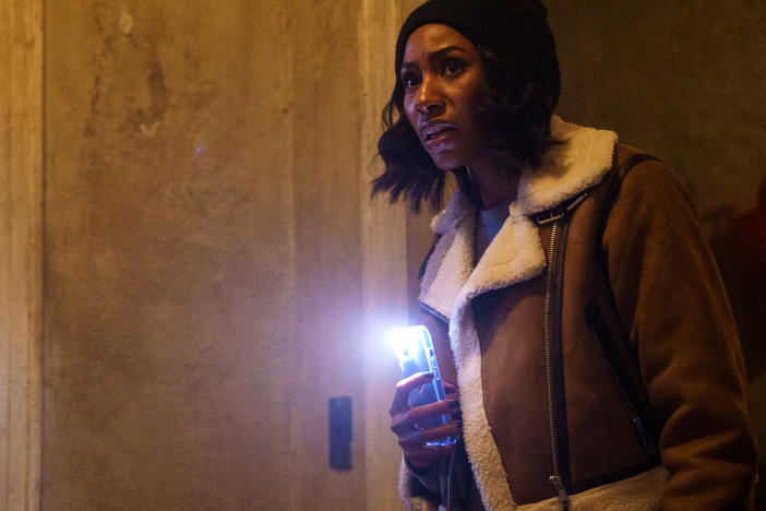 Diarra Kilpatrick stars as a school teacher-turned-mystery solver in <em>Diarra from Detroit.</em>
