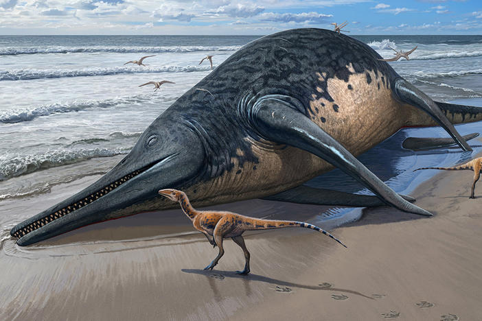 An artistic rendering of a washed-up <em data-stringify-type="italic">Ichthyotitan severnensis</em> carcass on the beach.