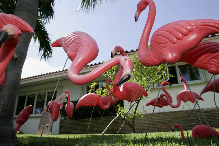 A new study finds that front yards with friendly features, such as pink flamingos or porch furniture, are correlated with happier, more connected neighbors and a greater "sense of place."