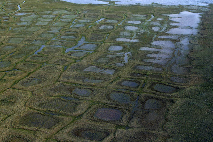 In this undated photo provided by the United States Geological Survey, permafrost forms a grid-like pattern in the National Petroleum Reserve-Alaska, managed by the Bureau of Land Management on Alaska's North Slope.