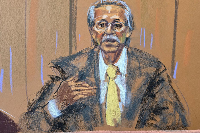Former <em>National Enquirer</em> publisher David Pecker speaks from the witness stand during Trump's criminal trial on charges that he falsified business records to conceal money paid to silence adult film star Stormy Daniels in 2016, in Manhattan state court in New York City, on Monday, in this courtroom sketch.
