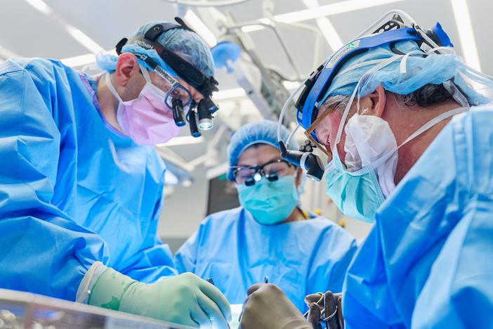 Dr. Jeffrey Stern, assistant professor in the Department of Surgery at NYU Grossman School of Medicine, and Dr. Robert Montgomery, director of the NYU Langone Transplant Institute, prepare the gene-edited pig kidney with thymus for transplantation.