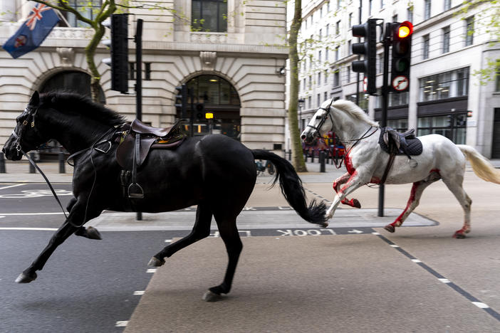 Two horses bolt through the streets of London near Aldwych on Wednesday.