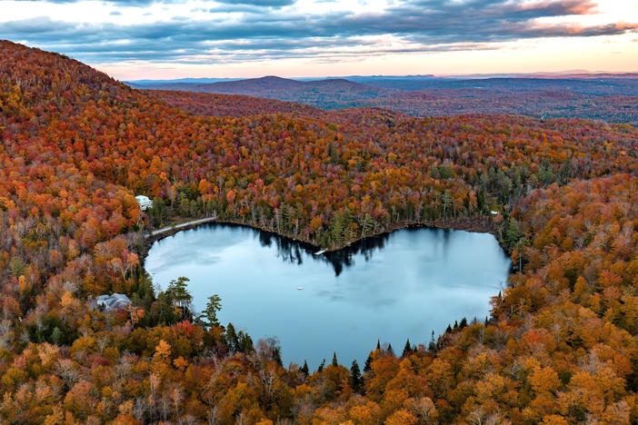The trees in this photo are amazing (and not just because they happen to be growing in a very Instagrammable heart shape around Baker Lake in Quebec, Canada.) Read on for a tree appreciation reading list for Arbor Day.