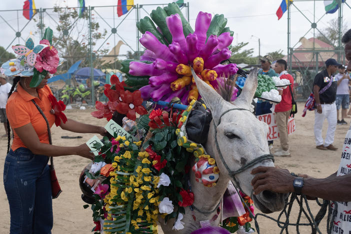 A donkey's owner makes last-minute adjustments ahead of the costume competition at the annual Donkey Festival in San Antero.