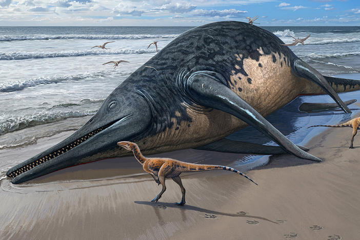 This illustration depicts a washed-up <em>Ichthyotitan severnensis </em>carcass on the beach.
