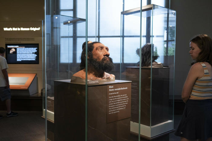 People visit exhibits inside the Smithsonian Hall of Human Origins, Thursday, July 20, 2023, at the Smithsonian Museum of Natural History in Washington.