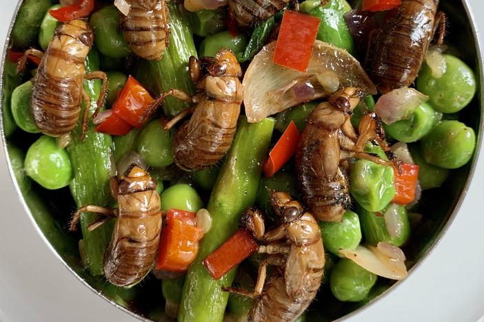 Cicada Spring Salad