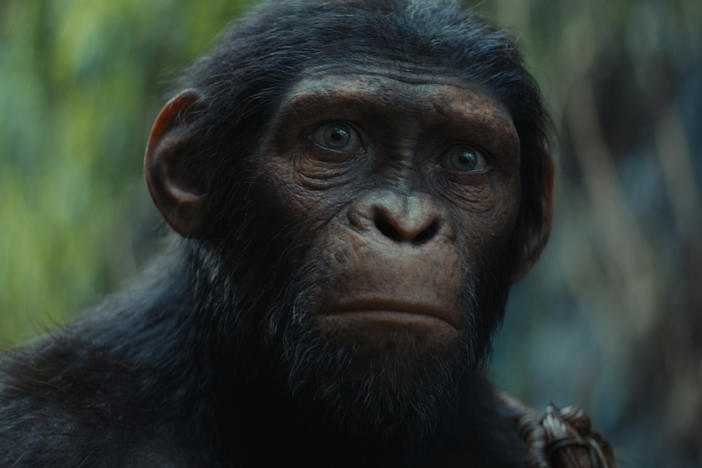 Owen Teague as Noa in the film, <em>Kingdom of the Planet of the Apes.</em>