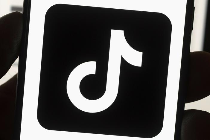 TikTok sued the Biden administration in response to a new law that bans the video app in the U.S. unless it is sold in the next 12 months.