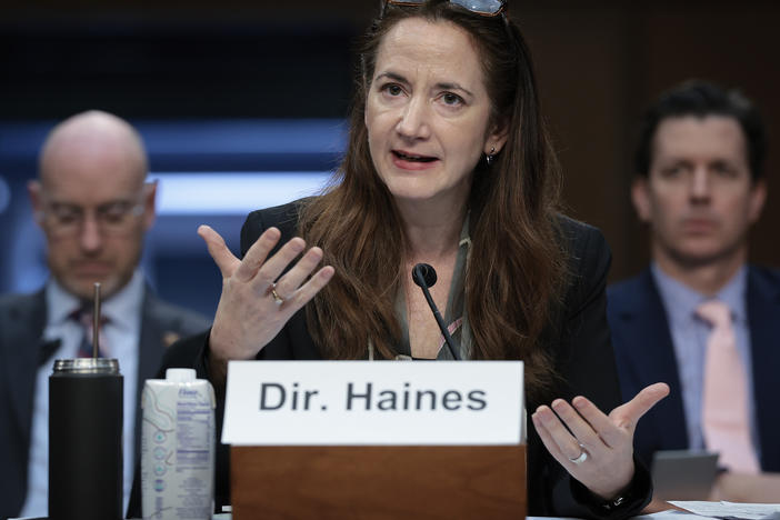 Director of National Intelligence Avril Haines testifying before a Senate hearing earlier this month. During a May 15 hearing, she identified Russia as the greatest foreign threat to this year's U.S. elections.