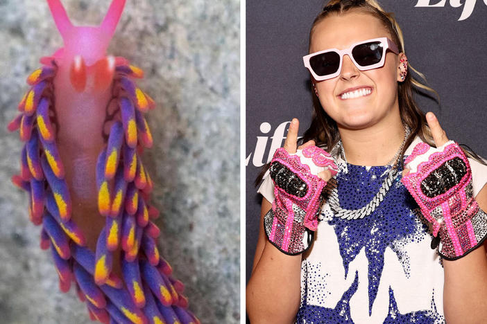 From left: Harrison Butker, a slug, JoJo Siwa