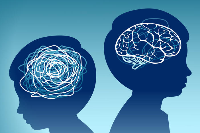 Attention-deficit/hyperactivity disorder (ADHD) is one of the most common neurodevelopment disorders among children.