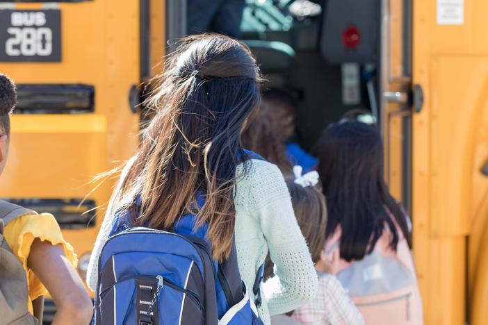 Researchers say multiple factors are likely impacting early puberty, including obesity, stress and endocrine-disrupting hormones which are widespread in the environment.