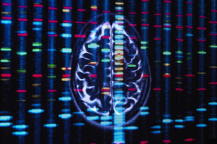 A new study looks at the roles that African and European genetic ancestries can play in Black Americans' risk for some brain disorders. 