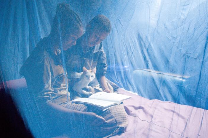 In modern times, malaria is thought of as a tropical disease but evidence from ancient bones reveals a different narrative. Above: In Ambowuha, Ethiopia, Birtukan Demissie and her siblings are protected from mosquitoes that carry the disease with a bed net. Joining them is the family cat.