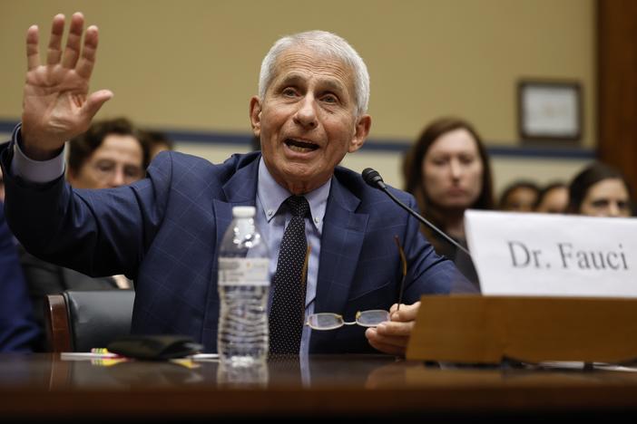 Dr. Anthony Fauci testifies before the House Oversight and Accountability Committee Select Subcommittee on June 3.