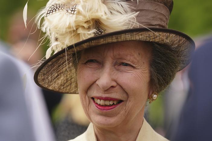 Buckingham Palace says Princess Anne was hospitalized as a precautionary measure after sustaining minor injuries and concussion following an incident on the Gatcombe Park estate on Sunday. Above, princess attends a garden party at Buckingham Palace on May 17. 