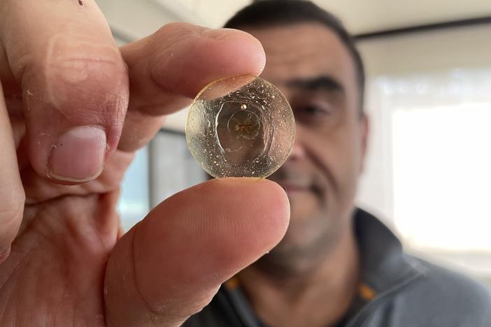 Paleontologist Dany Azar holds up one of his treasures that he discovered in a piece of amber from the early Cretaceous: The oldest mosquito ever found. 