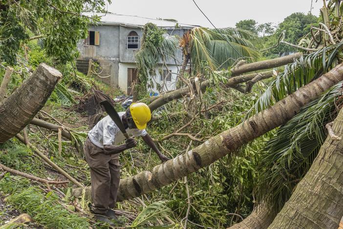 Pastor Winston Alleyne clears trees felled by Hurricane Beryl in Ottley Hall, St. Vincent and the Grenadines, Tuesday, July 2, 2024. 