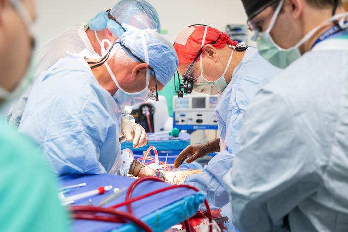Dr. Marty Sellers, wearing a red scrub cap, and his team from Tennessee Donor Services perform a normothermic regional perfusion organ recovery at a hospital in eastern Tennessee.