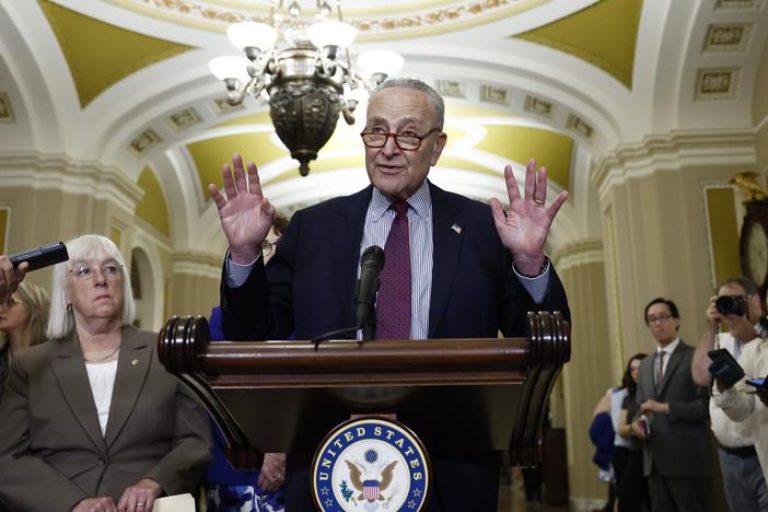 Democrats remain divided on how to handle President Biden's campaign missteps. Party leaders like Senate Majority Leader Chuck Schumer, D-NY, say they back Biden, but even Schumer's close deputy Sen. Patty Murray, D-Wash, (left), is among the members questioning Biden's ability to be the party's nominee.