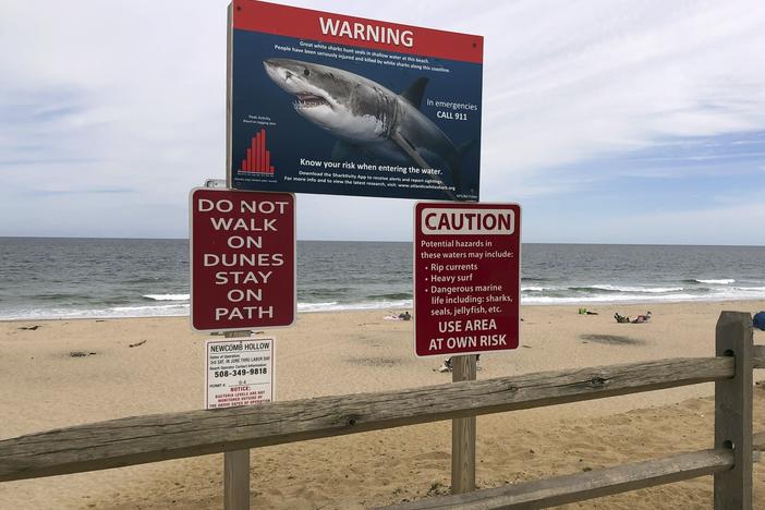 In this Sept. 5, 2019 photo, a shark warning sign is seen at Newcomb Hollow Beach in Wellfleet, Mass.