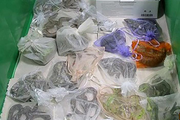This February 2022 photo provided by U.S. Customs and Border Protection shows snakes in bags found hidden in a man's clothes at the San Ysidro, Calif., port of entry. On Tuesday, officials in China said a man was caught trying to smuggle more than 100 snakes into that country.